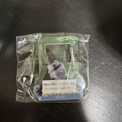 パペットスンスン アクリルカラビナ ゾンゾン