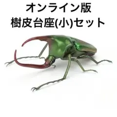 いきもの大図鑑 カブトハナムグリ(グリーン)