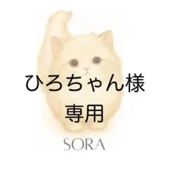 ひろちゃん様　4点 まとめ商品　※商品内容の確認をお願い致します‎٭❀*