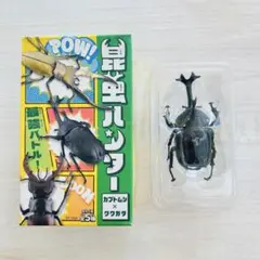 【未開封】昆虫ハンター カブトムシ 黒 フィギュア