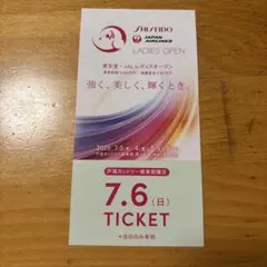 山菜オコワ様 リクエスト 2点 まとめ商品