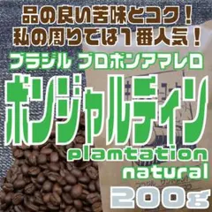 自家焙煎 コーヒー豆　ブラジル　ボンジャルディン農園　ナチュラル　200gのサムネイル