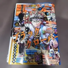 2026年最新】ジャンプgiga spring 付録の人気アイテム - メルカリ
