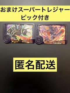 ☆在庫一掃おまけST付き☆ジガルデ/ガブリアス