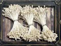 Item thumbnail for item 67704e6f-b864-438b-900f-542d0239c762