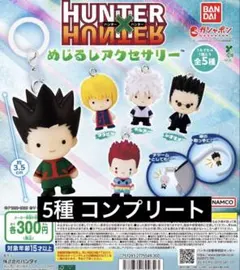 ち*。様 ハンターハンター めじるしアクセサリー コンプリート 全５種