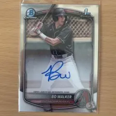 Item thumbnail for item 10b5ff1c-e7c9-40cb-8980-b572814efb0f