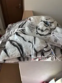 Item thumbnail for item ddf7d5f7-5d62-4ab3-b565-c718029b6b1e