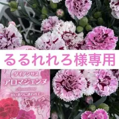 るるれれろ様専用