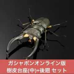 いきもの大図鑑アドバンス オンライン版『エラフスホソアカクワガタ (グリーン)』