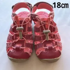 １８センチ　水陸両用　ピンク