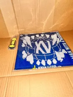 Item thumbnail for item 957679fb-3e89-4210-9b9d-dfdddf469e6f