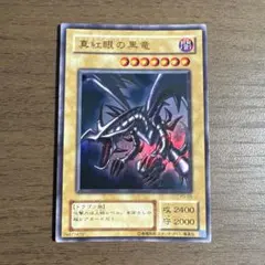 真紅眼の黒竜セット　11枚