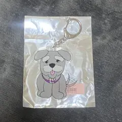 2026年最新】icex 竹野世梛の人気アイテム - メルカリ