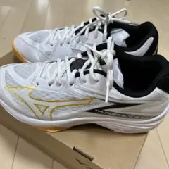 Mizuno Thunder Blade Z 25センチ　バレーボールシューズ