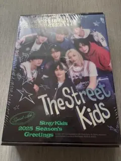 Stray Kids 2025 Season's Greetings