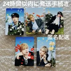 TXT セツナハナビ ソロジャケット盤 花 ver. トレカ 全員 コンプ