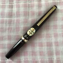 大幅値下げ‼️PILOT Elite ポケット型高級万年筆 黒 18Kペン先 詳細ページ | 万年筆 ボールペンなど高級筆記具の販売・買取