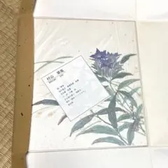 秋向き色紙　りんどう画　茶道　掛け軸　シャビー