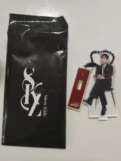 Stray Kids スキズ スンミン ポップアップ ミニアクスタ