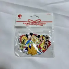 ディズニー　マグネット　新年　元旦　元日　2018