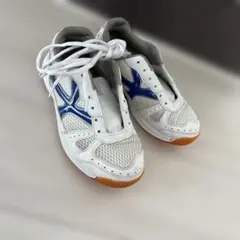 スポーツシューズ 体育館シューズ　22.5cm
