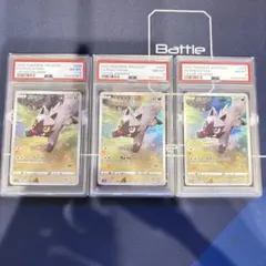 ポチエナ AR 208/172 PSA8