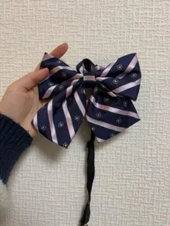 Item thumbnail for item 2cbc7c97-2dc1-4cd4-960f-1153597c1126