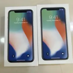 Apple iPhone X 64GB/256GB ケースのみ
