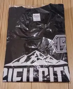 FC岐阜　Tシャツ　サイズL