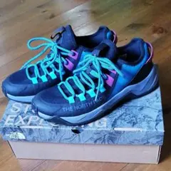 ノースフェイス スニーカー NF01980