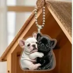 Item thumbnail for item 51a72f83-74f1-468f-a582-500c2e7f6cf4