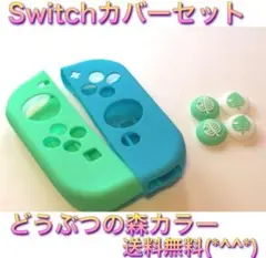 (F03)Switch カバー　 緑青　スティックカバー付き　C