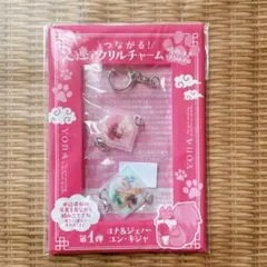 草凪みずほ 暁のヨナ 2連アクリルチャーム 1弾 ヨナ、ジェハ、ユン、キジャ