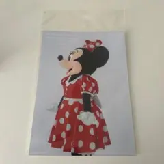 東京ディズニーリゾート　イマジニングザマジック　ミニー　写真　濱田英明