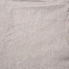 生地　ダブルニット　ベージュ系