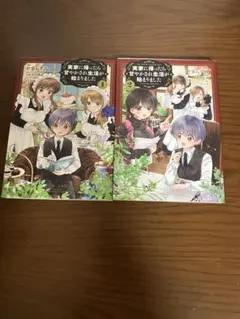 実家に帰ったら甘やかされ生活が始まりました 2