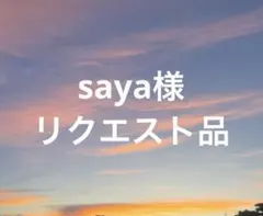saya様 リクエスト 2点 まとめ商品