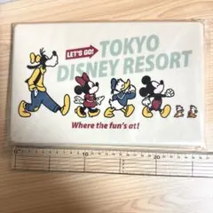 東京ディズニーリゾート　スーベニア ランチボックス　ランチケース