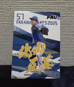 Item thumbnail for item b5441d30-b8b9-40c2-b785-0fb7c53e40dd