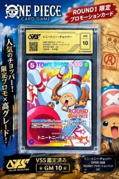 2026年最新】チョッパー プロモの人気アイテム - メルカリ