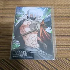 ドクターストーン Dr.STONE 氷月 ブロマイド - メルカリ
