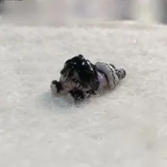 ♡オーダー者さま 専用 ♡