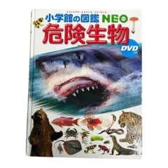 Item thumbnail for item 273e0d00-d8df-44e0-9203-8c0c2e88a1af