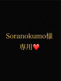 Soranokumo様 リクエスト 2点 まとめ商品