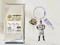 Item thumbnail for item 68b17e83-6b1b-499f-aa69-4c8f322c9be9