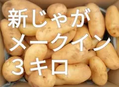 新じゃがいも☆メークイン☆３キロ☆長崎県産のサムネイル