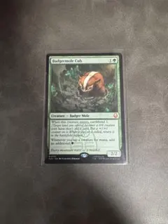 2026年最新】アナグマモグラの仔の人気アイテム - メルカリ