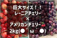 超希少8.5Rレーニアチェリー 高級チェリー食べ比べセット 4kg - メルカリ