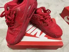 AIR MAX 90 essential